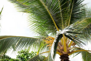 A[gpl A[gt[ Ǌ| CeA artmart A[g}[g A[g|X^[A[g{[hAt@ubNplŕɁI_ AeB[N k  C G ʐ^ |