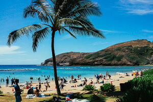 アートパネル アートフレーム 壁掛け インテリア artmart アートマート アートポスターやアートボード、ファブリックパネルで部屋をおしゃれに!モダン アンティーク 北欧 花 海 絵 写真 ポ