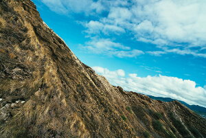 A[gpl A[gt[ Ǌ| CeA artmart A[g}[g A[g|X^[A[g{[hAt@ubNplŕɁI_ AeB[N k  C G ʐ^ |