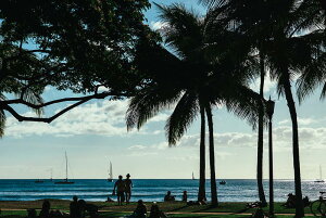 アートパネル アートフレーム 壁掛け インテリア artmart アートマート アートポスターやアートボード、ファブリックパネルで部屋をおしゃれに!モダン アンティーク 北欧 花 海 絵 写真 ポ