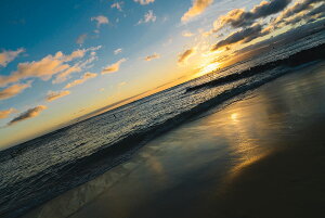 A[gpl A[gt[ Ǌ| CeA artmart A[g}[g A[g|X^[A[g{[hAt@ubNplŕɁI_ AeB[N k  C G ʐ^ |