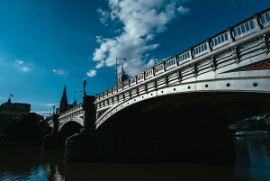 A[gpl A[gt[ Ǌ| CeA artmart A[g}[g A[g|X^[A[g{[hAt@ubNplŕɁI_ AeB[N k  C G ʐ^ |