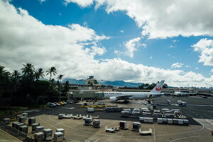 A[gpl A[gt[ Ǌ| CeA artmart A[g}[g A[g|X^[A[g{[hAt@ubNplŕɁI_ AeB[N k  C G ʐ^ |