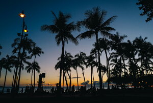 A[gpl A[gt[ Ǌ| CeA artmart A[g}[g A[g|X^[A[g{[hAt@ubNplŕɁI_ AeB[N k  C G ʐ^ |