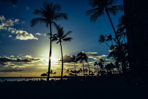 A[gpl A[gt[ Ǌ| CeA artmart LoXA[ĝ݃t[ʔ A[g}[g A[g|X^[A[g{[hAt@ubNplŕɁI