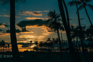 アートパネル アートフレーム 壁掛け インテリア artmart アートマート アートポスターやアートボード、ファブリックパネルで部屋をおしゃれに!モダン アンティーク 北欧 花 海 絵 写真 ポ