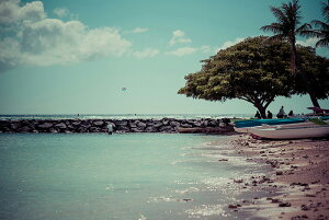 A[gpl A[gt[ Ǌ| CeA artmart A[g}[g A[g|X^[A[g{[hAt@ubNplŕɁI_ AeB[N k  C G ʐ^ |