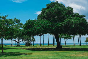 A[gpl A[gt[ Ǌ| CeA artmart LoXA[ĝ݃t[ʔ A[g}[g A[g|X^[A[g{[hAt@ubNplŕɁI