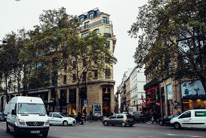 アートパネル アートフレーム 壁掛け インテリア artmart アートマート アートポスターやアートボード、ファブリックパネルで部屋をおしゃれに!モダン アンティーク 北欧 花 海 絵 写真 ポ