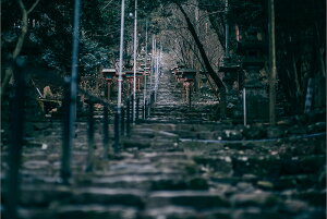 アートパネル アートフレーム 壁掛け インテリア artmart アートマート アートポスターやアートボード、ファブリックパネルで部屋をおしゃれに!モダン アンティーク 北欧 花 海 絵 写真 ポ