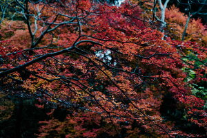 A[gpl A[gt[ Ǌ| CeA artmart LoXA[ĝ݃t[ʔ A[g}[g A[g|X^[A[g{[hAt@ubNplŕɁI