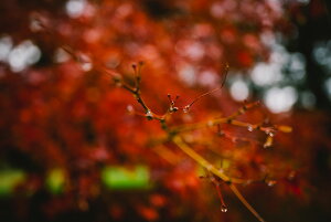 A[gpl A[gt[ Ǌ| CeA artmart A[g}[g A[g|X^[A[g{[hAt@ubNplŕɁI_ AeB[N k  C G ʐ^ |