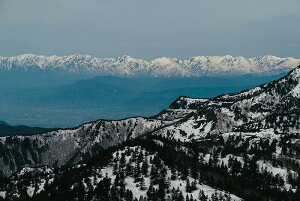 アートパネル アートフレーム 壁掛け インテリア artmart アートマート アートポスターやアートボード、ファブリックパネルで部屋をおしゃれに!モダン アンティーク 北欧 花 海 絵 写真 ポ