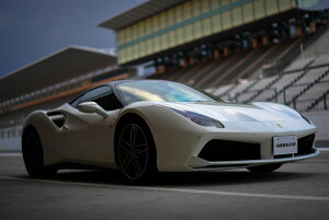 tF[ 488 GTB XpC_[ JX^ A[gpl A[gt[ Ǌ| CeA artmart A[g}[g A[g|X^[A[g{[hAt@ubNplŕɁI_