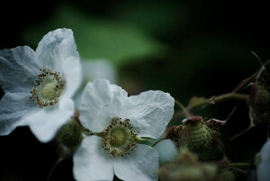 A[gpl A[gt[ Ǌ| CeA artmart A[g}[g A[g|X^[A[g{[hAt@ubNplŕɁI_ AeB[N k  C G ʐ^ |