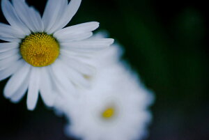 A[gpl A[gt[ Ǌ| CeA artmart A[g}[g A[g|X^[A[g{[hAt@ubNplŕɁI_ AeB[N k  C G ʐ^ |