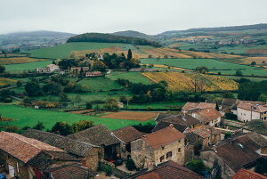 アートパネル アートフレーム 壁掛け インテリア artmart アートマート アートポスターやアートボード、ファブリックパネルで部屋をおしゃれに!モダン アンティーク 北欧 花 海 絵 写真 ポ