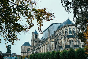 アートパネル アートフレーム 壁掛け インテリア artmart アートマート アートポスターやアートボード、ファブリックパネルで部屋をおしゃれに!モダン アンティーク 北欧 花 海 絵 写真 ポ