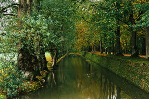 A[gpl A[gt[ Ǌ| CeA artmart A[g}[g A[g|X^[A[g{[hAt@ubNplŕɁI_ AeB[N k  C G ʐ^ |