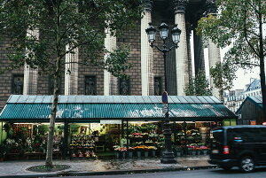 アートパネル アートフレーム 壁掛け インテリア artmart アートマート アートポスターやアートボード、ファブリックパネルで部屋をおしゃれに!モダン アンティーク 北欧 花 海 絵 写真 ポ