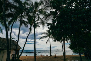 アートパネル アートフレーム 壁掛け インテリア artmart アートマート アートポスターやアートボード、ファブリックパネルで部屋をおしゃれに!モダン アンティーク 北欧 花 海 絵 写真 ポ