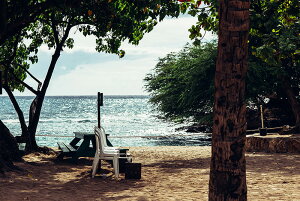 アートパネル アートフレーム 壁掛け インテリア artmart アートマート アートポスターやアートボード、ファブリックパネルで部屋をおしゃれに!モダン アンティーク 北欧 花 海 絵 写真 ポ