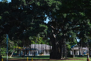 A[gpl A[gt[ Ǌ| CeA artmart A[g}[g A[g|X^[A[g{[hAt@ubNplŕɁI_ AeB[N k  C G ʐ^ |