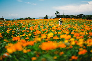 A[gpl A[gt[ Ǌ| CeA artmart LoXA[ĝ݃t[ʔ A[g}[g A[g|X^[A[g{[hAt@ubNplŕɁI