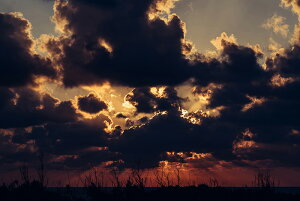 A[gpl A[gt[ Ǌ| CeA artmart A[g}[g A[g|X^[A[g{[hAt@ubNplŕɁI_ AeB[N k  C G ʐ^ |