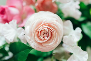 A[gpl A[gt[ Ǌ| CeA artmart A[g}[g A[g|X^[A[g{[hAt@ubNplŕɁI_ AeB[N k  C G ʐ^ |