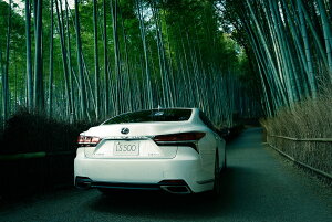 NTX LS500 500h JX^ A[gpl A[gt[ Ǌ| CeA artmart A[g}[g A[g|X^[A[g{[hAt@ubNplŕɁI_ AeB