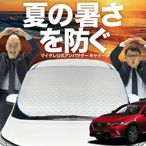 yVzI[gtBbg CX-3 DKn CX 3 tgKX Jo[ V[g tg Mh~ TVF[h 悯  ՔM  O uv fM Ռ ԓx  ~ I[V[Y LotNo.02