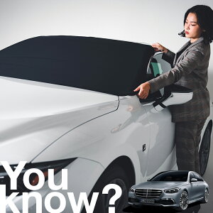 �y�����ԗp�z���A�t�����g�K���X�̓�����h�~ �V�^ �x���c S�N���X W223�^ �t�����g�J�o�[ �����h�~ �T���V�F�[�h ���ʎ� SUV �V�[�g �ԗp�J�o�[ ������ ���悯 ����� �� �� �Ԓ��� �J�[�V�F