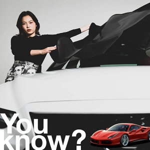 �y�����ԗp�z���A�t�����g�K���X�̓�����h�~ 488GTB�X�p�C�_�[ �t�����g�J�o�[ �����h�~ �T���V�F�[�h ���ʎ� SUV �V�[�g �ԗp�J�o�[ ������ ���悯 ����� �� �� �Ԓ��� �J�[�V�F�[�h �v���C