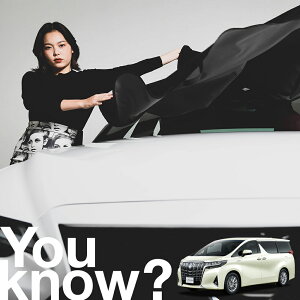 yԗpzAtgKX̓h~ At@[h 30n ALPHARD tgJo[ h~ TVF[h ʎ SUV V[g ԗpJo[  悯    Ԓ J[VF[