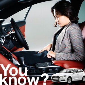 yԗpzAtgKX̓h~ AEfB AUDI A3 S3 RS3 tgJo[ h~ TVF[h ʎ SUV V[g ԗpJo[  悯    Ԓ J[VF[h v