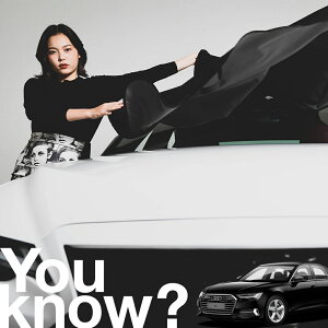 yԗpzAtgKX̓h~ AEfB AUDI A6 tgJo[ h~ TVF[h ʎ SUV V[g ԗpJo[  悯    Ԓ J[VF[h vC