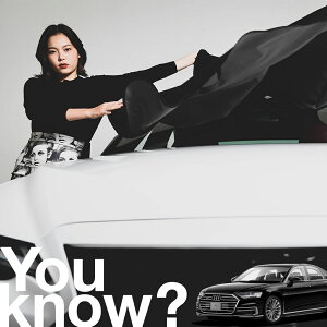 yԗpzAtgKX̓h~ AEfB AUDI A8 tgJo[ h~ TVF[h ʎ SUV V[g ԗpJo[  悯    Ԓ J[VF[h vC