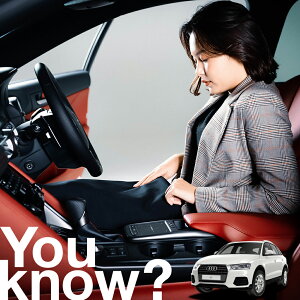 yԗpzAtgKX̓h~ AEfB AUDI Q3 tgJo[ h~ TVF[h ʎ SUV V[g ԗpJo[  悯    Ԓ J[VF[h vC