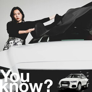 yԗpzAtgKX̓h~ AEfB AUDI Q3 tgJo[ h~ TVF[h ʎ SUV V[g ԗpJo[  悯    Ԓ J[VF[h vC