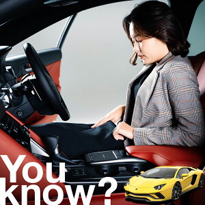 �y�����ԗp�z���A�t�����g�K���X�̓�����h�~ �����{���M�[�j �A���F���^�h�[�� �t�����g�J�o�[ �����h�~ �T���V�F�[�h ���ʎ� SUV �V�[�g �ԗp�J�o�[ ������ ���悯 ����� �� �� �Ԓ��� �J