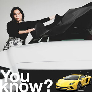 �y�����ԗp�z���A�t�����g�K���X�̓�����h�~ �����{���M�[�j �A���F���^�h�[�� �t�����g�J�o�[ �����h�~ �T���V�F�[�h ���ʎ� SUV �V�[�g �ԗp�J�o�[ ������ ���悯 ����� �� �� �Ԓ��� �J