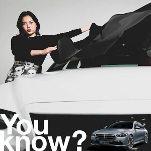 �y�����ԗp�z���A�t�����g�K���X�̓�����h�~ �V�^ �x���c S�N���X W223�^ �t�����g�J�o�[ �����h�~ �T���V�F�[�h ���ʎ� SUV �V�[�g �ԗp�J�o�[ ������ ���悯 ����� �� �� �Ԓ��� �J�[�V�F