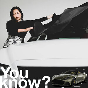 �y�����ԗp�z���A�t�����g�K���X�̓�����h�~ �A�X�g���}�[�e�B�� DBS �t�����g�J�o�[ �����h�~ �T���V�F�[�h ���ʎ� SUV �V�[�g �ԗp�J�o�[ ������ ���悯 ����� �� �� �Ԓ��� �J�[�V�F�[�h