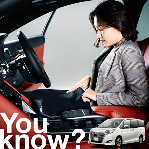 yԗpzAtgKX̓h~ GXN@CA 80n ESQUIRE tgJo[ h~ TVF[h ʎ SUV V[g ԗpJo[  悯    Ԓ J[VF[