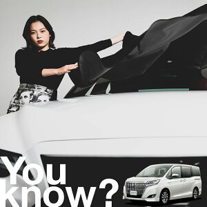 yԗpzAtgKX̓h~ GXN@CA 80n ESQUIRE tgJo[ h~ TVF[h ʎ SUV V[g ԗpJo[  悯    Ԓ J[VF[