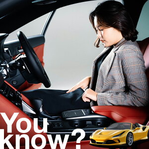 �y�����ԗp�z���A�t�����g�K���X�̓�����h�~ �t�F���[�� F8 �X�p�C�_�[ SPIDER �t�����g�J�o�[ �����h�~ �T���V�F�[�h ���ʎ� SUV �V�[�g �ԗp�J�o�[ ������ ���悯 ����� �� �� �Ԓ��� �J�[