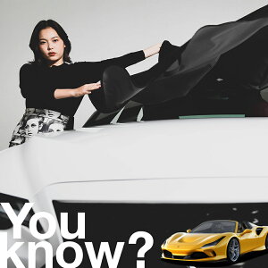 �y�����ԗp�z���A�t�����g�K���X�̓�����h�~ �t�F���[�� F8 �X�p�C�_�[ SPIDER �t�����g�J�o�[ �����h�~ �T���V�F�[�h ���ʎ� SUV �V�[�g �ԗp�J�o�[ ������ ���悯 ����� �� �� �Ԓ��� �J�[