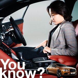 �y�����ԗp�z���A�t�����g�K���X�̓�����h�~ �x���g���[ �t���C���O�X�p�[ �t�����g�J�o�[ �����h�~ �T���V�F�[�h ���ʎ� SUV �V�[�g �ԗp�J�o�[ ������ ���悯 ����� �� �� �Ԓ��� �J�[�V