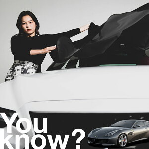 �y�����ԗp�z���A�t�����g�K���X�̓�����h�~ �t�F���[�� GTC ���b�\ GTC4 �t�����g�J�o�[ �����h�~ �T���V�F�[�h ���ʎ� SUV �V�[�g �ԗp�J�o�[ ������ ���悯 ����� �� �� �Ԓ��� �J�[�V�F�[